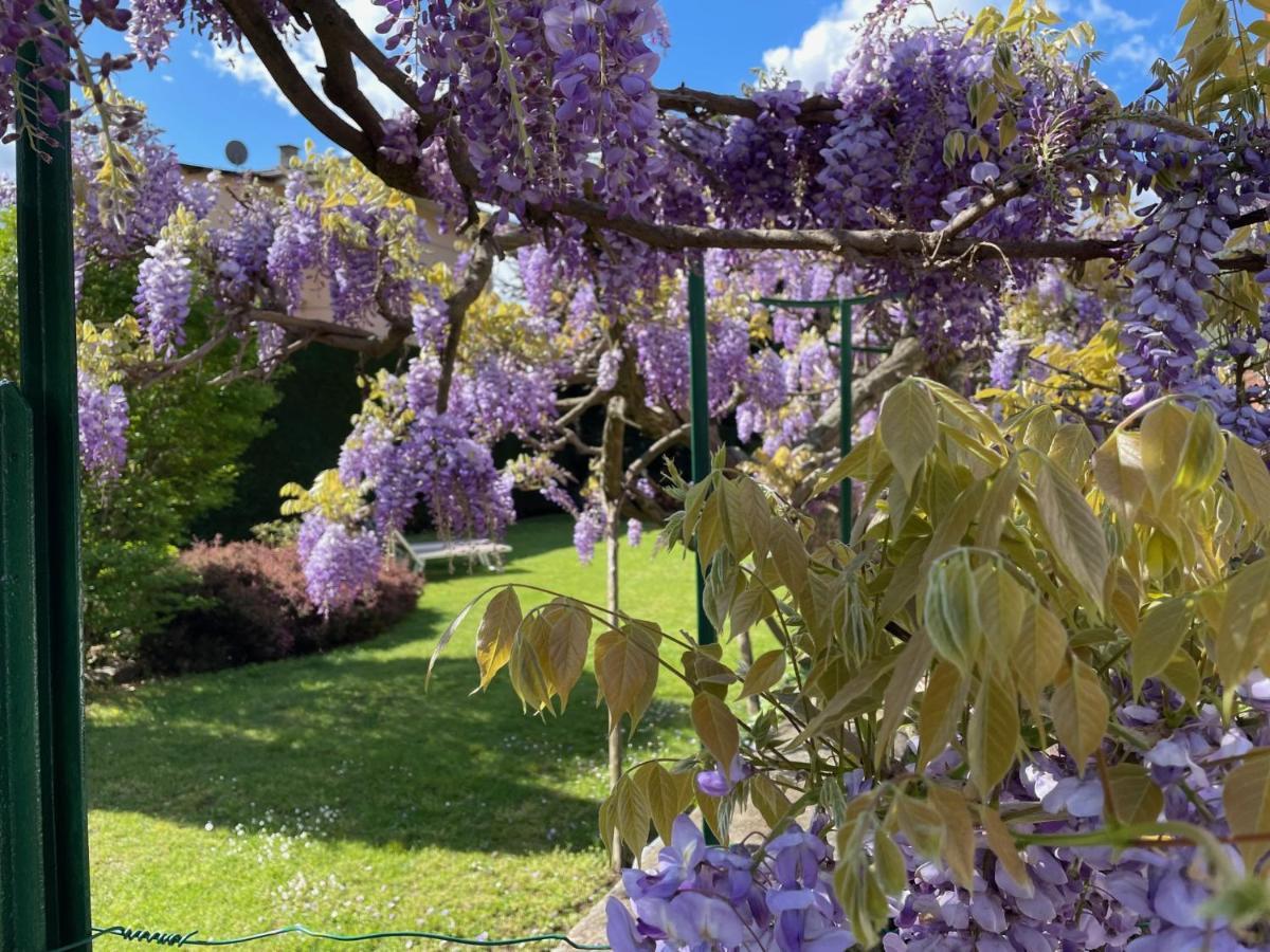 Dimora Fiorita Senior My Holiday Home Varallo Bagian luar foto