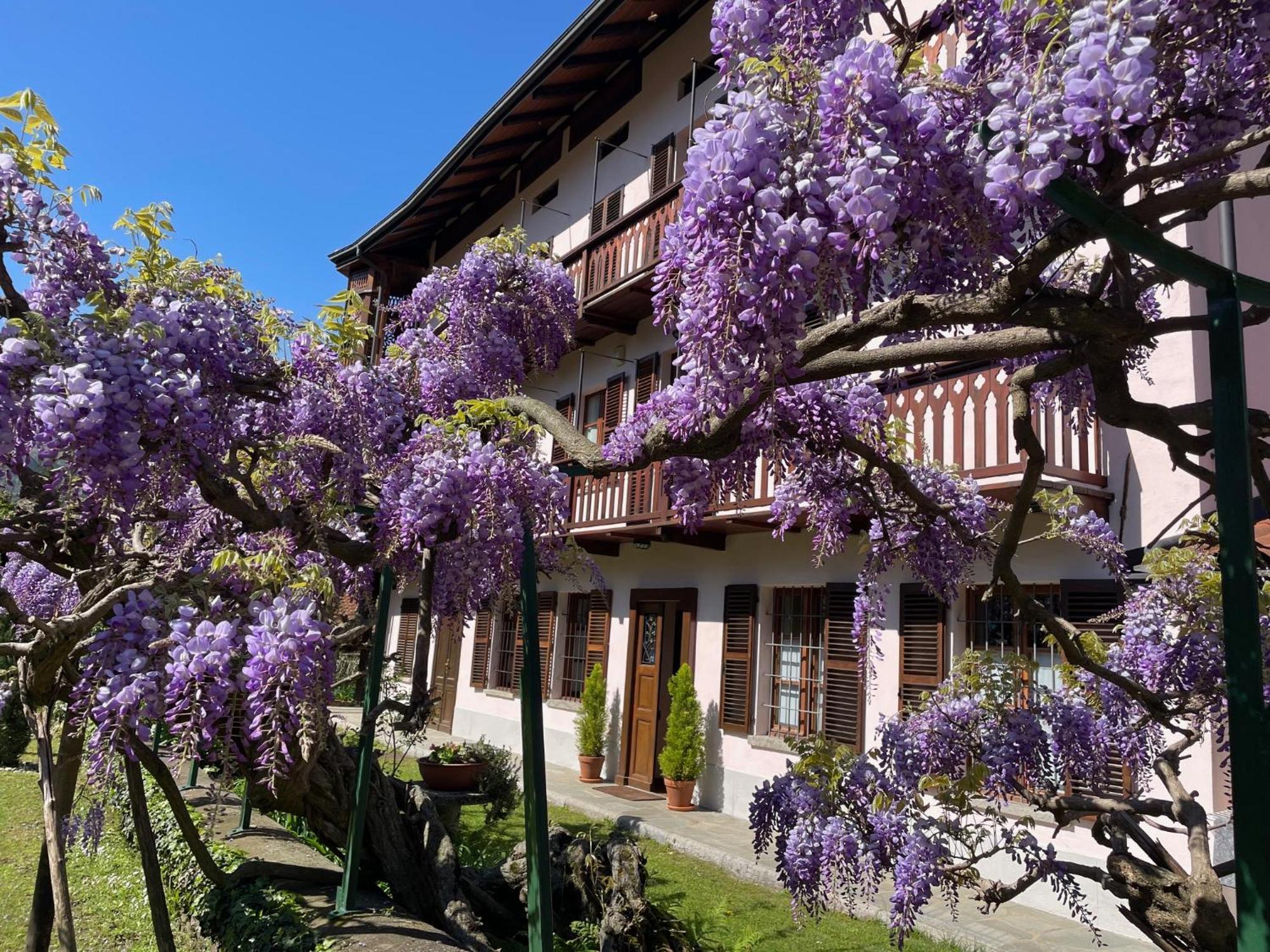 Dimora Fiorita Senior My Holiday Home Varallo Bagian luar foto
